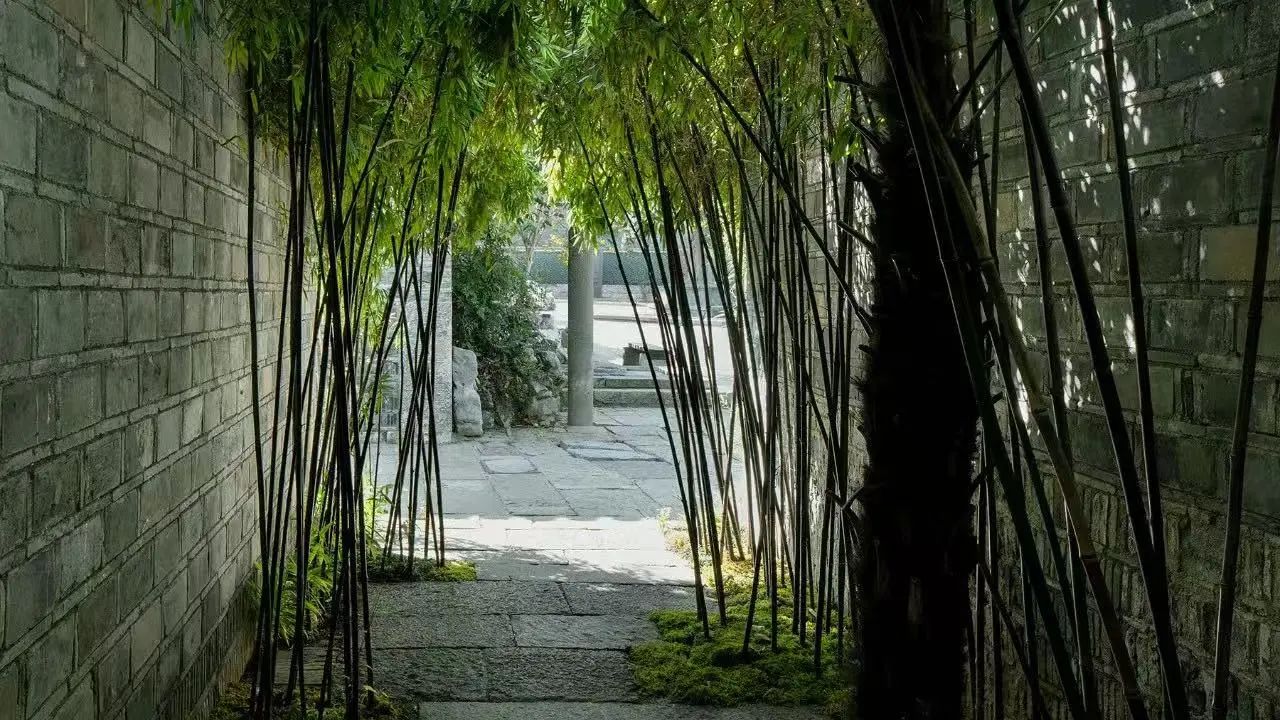 瞻月府丨中国南京丨名谷设计办公室（推测,潘冉所在）-2