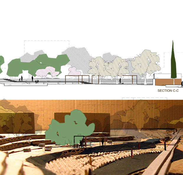 Filothei公共绿化区域改造丨希腊雅典-10