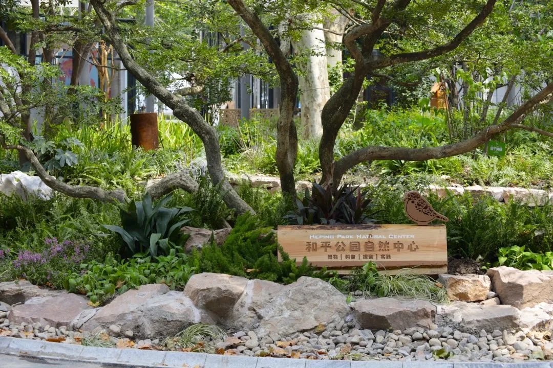 案例 | 上海首个在公园中的自然中心——和平公园自然中心-5