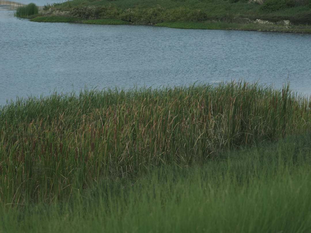 三亚崖州湾科技城通海公园五区丨中国三亚丨成都麦微景观建筑事务所-19