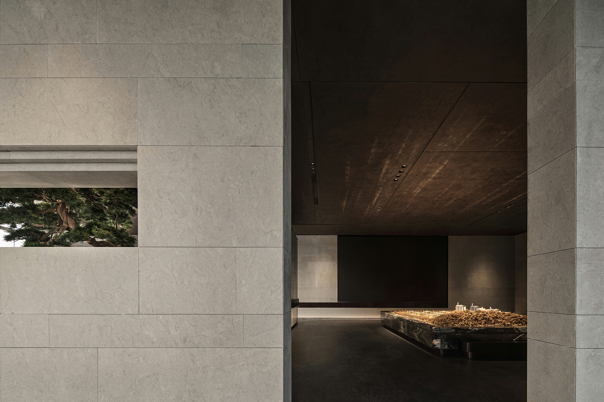 栖霞建设南京G35地块星叶半山玥府丨中国南京丨上海飞视设计-14