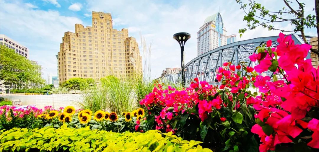 外滩秘境 | 城市花园的时空穿越-97