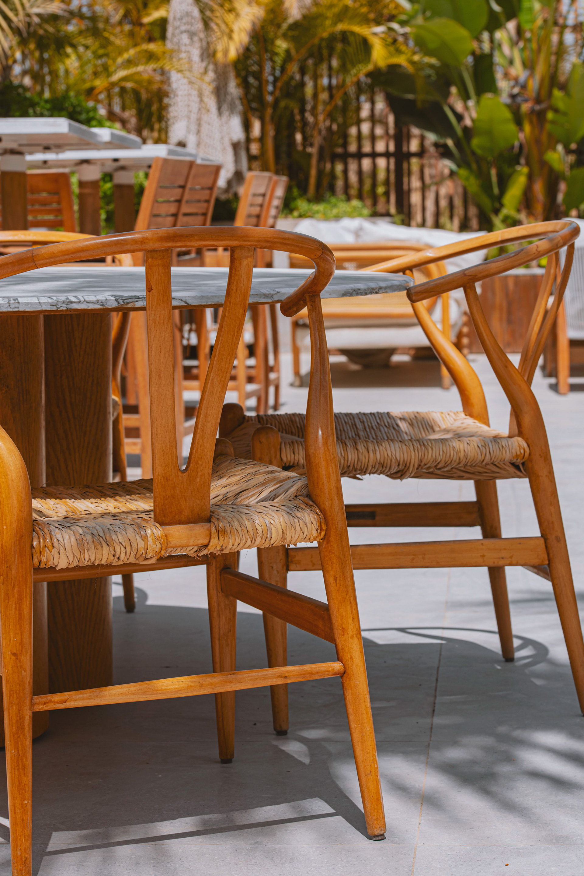 Cake Cafe - SWAN LAKE-26