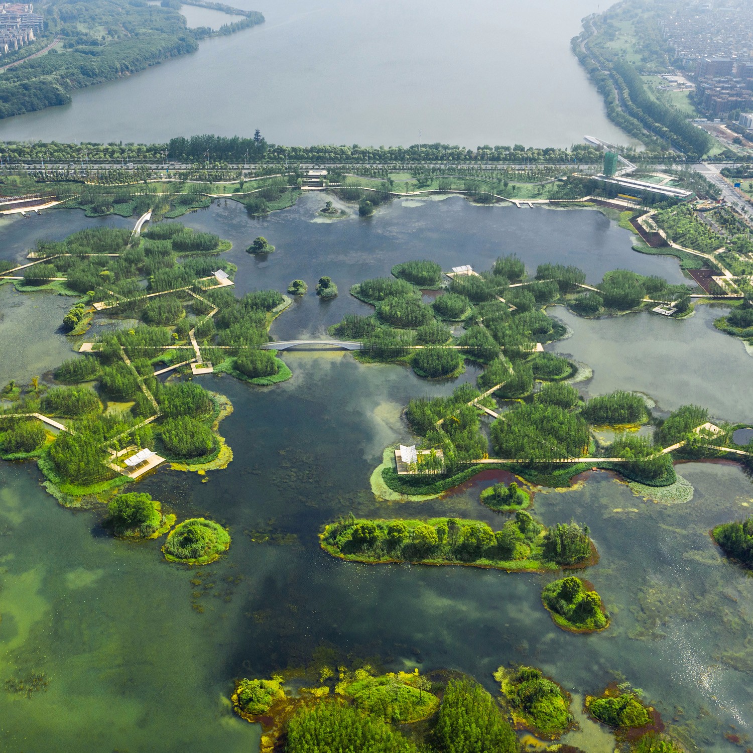 南昌鱼尾洲湿地公园丨中国南昌丨土人设计-5