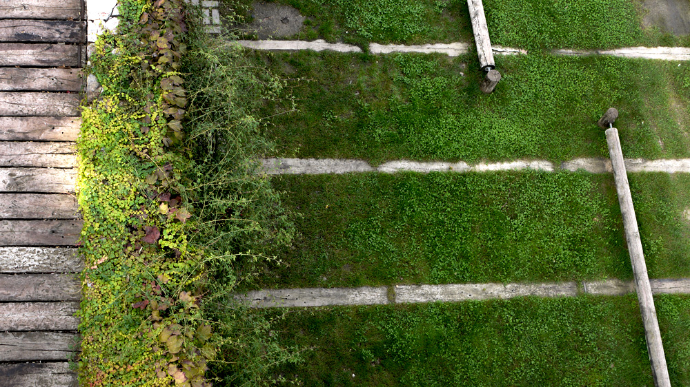 Torrent d'en Farre 公众公园-12