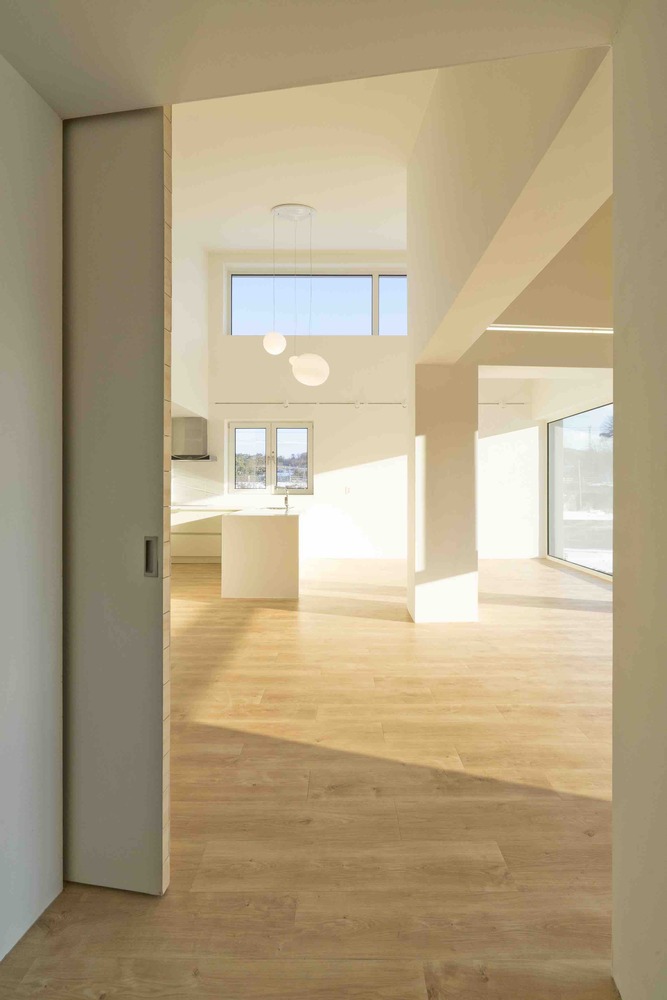 温暖阳光照亮受伤主人生活-50