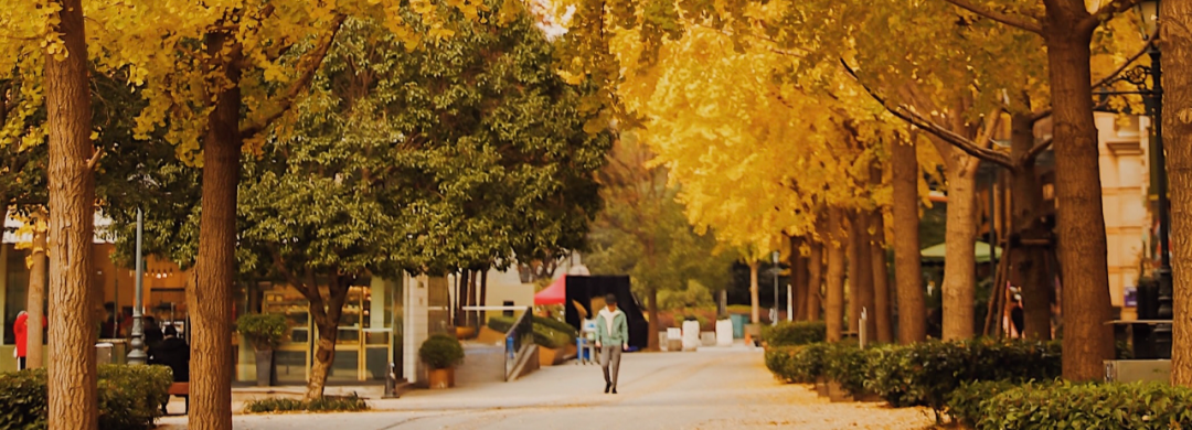 《古北 古北》| 热心居民安大地-71