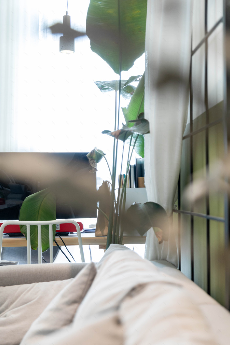 花田喜事丨中国南京丨LAB-35