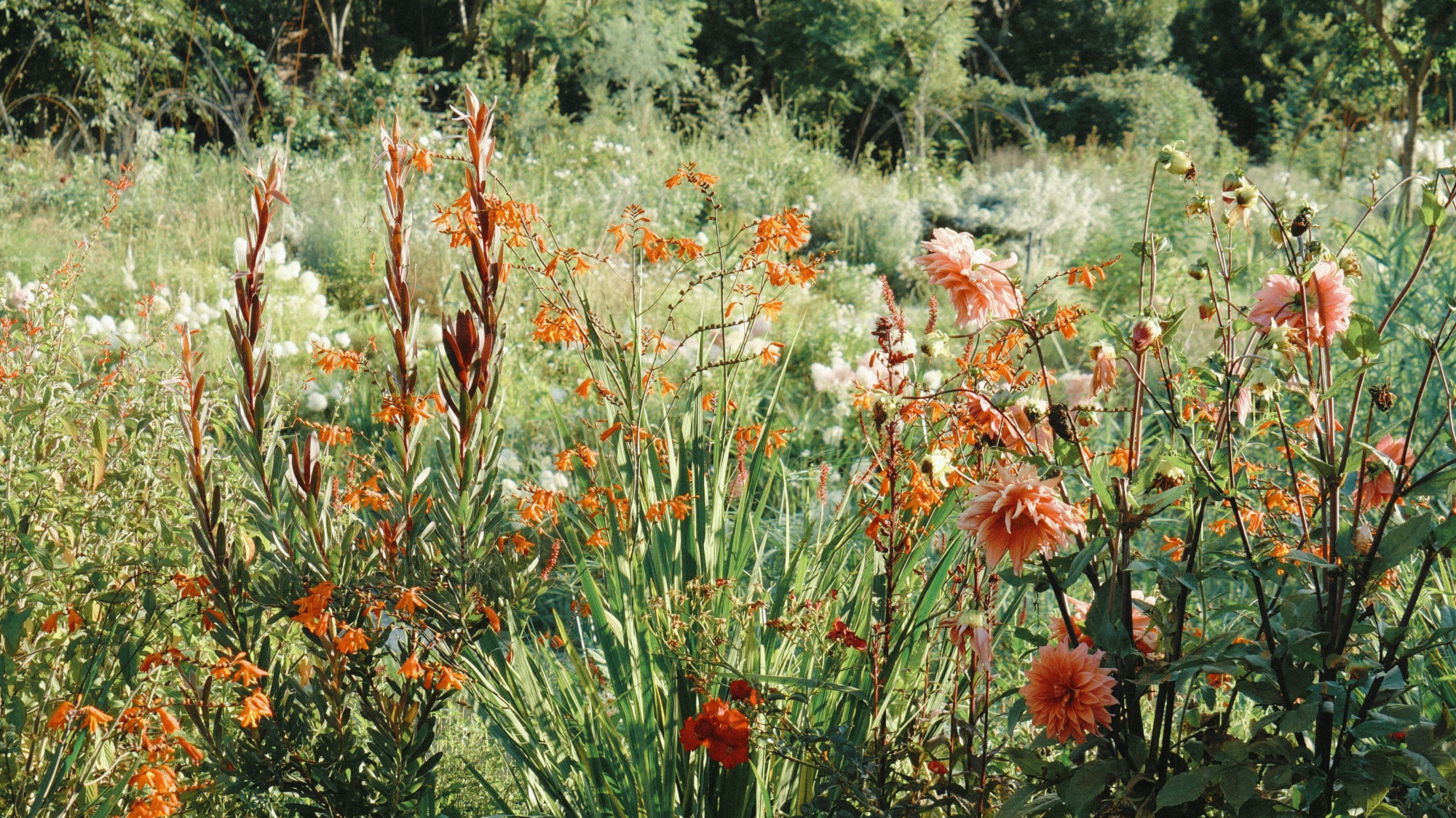 大理山下花园丨中国大理丨上海叙野景观设计有限公司-50