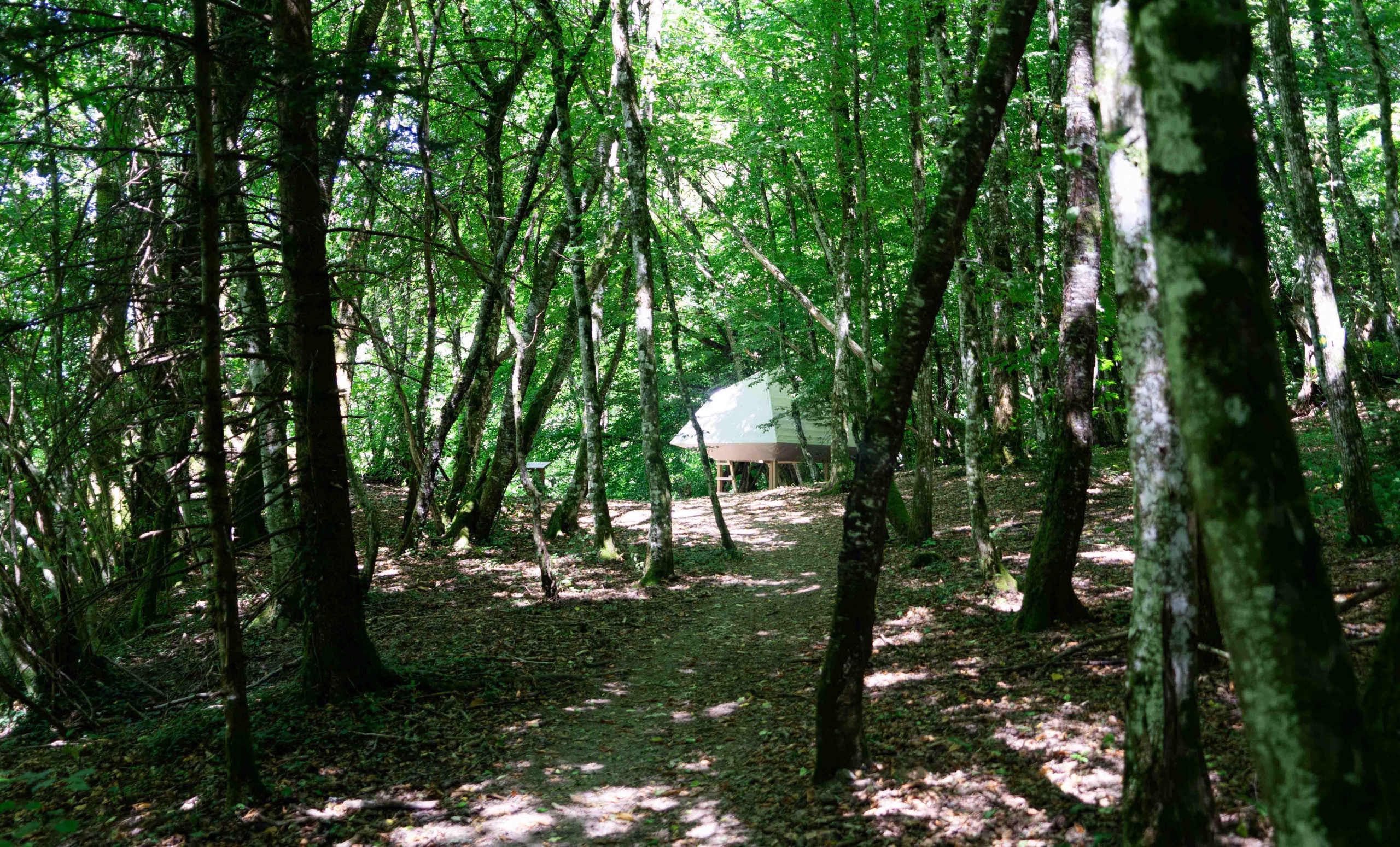 冥想小屋·A“light”paper cage丨法国丨无意义建筑-3