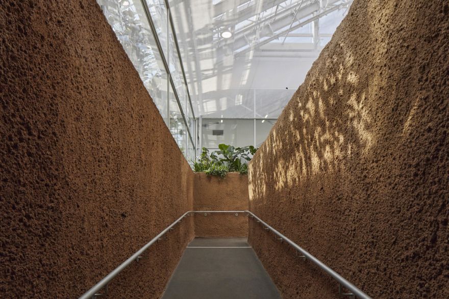 蒙特利尔昆虫馆丨加拿大蒙特利尔-14