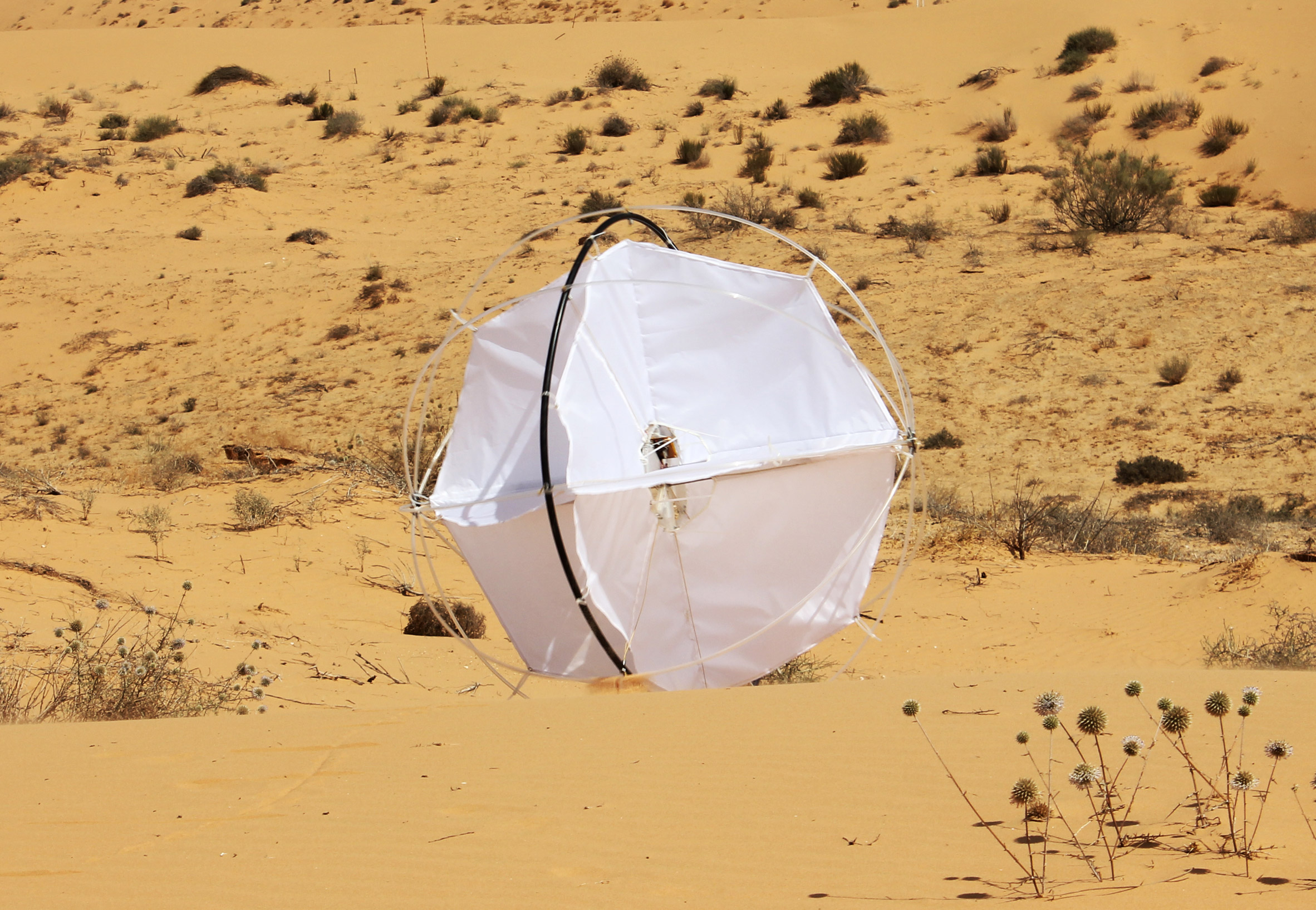 Robots in the wild could "serve nature in a positive way" by replacing vanishing species, says Robotanica curator-15