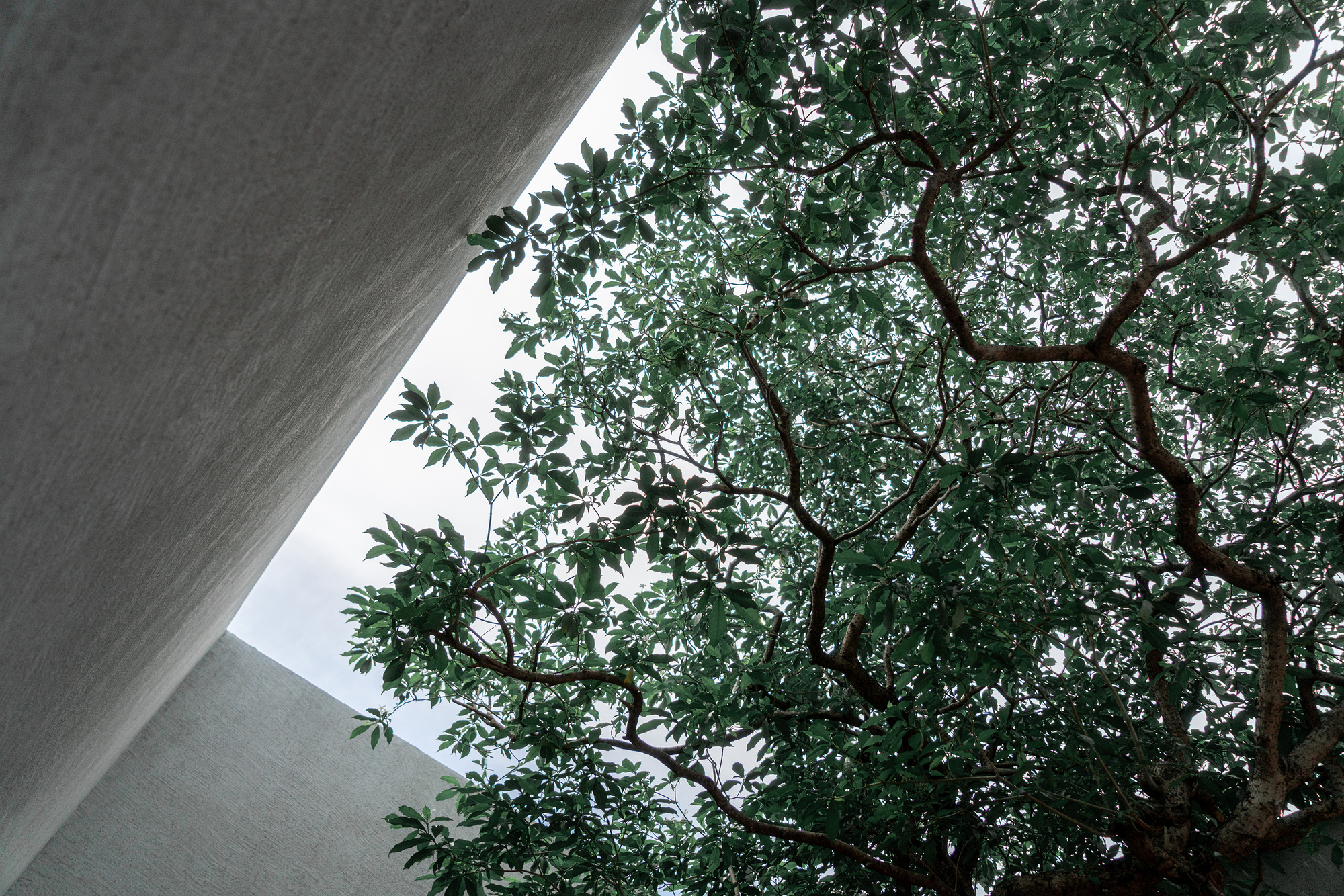 FN 大楼（FN可能是某个特定名称、机构或品牌等的缩写，若你能提供更多关于FN的背景信息，翻译会更精准）丨泰国曼谷丨Anonym-29