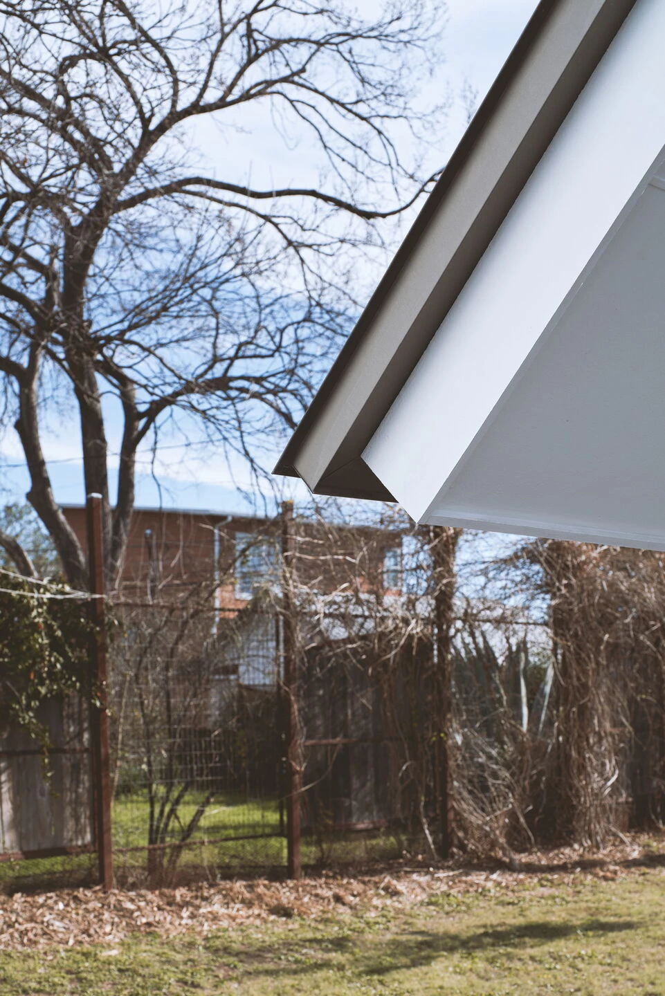 Little Tiger Chinese Immersion School-11