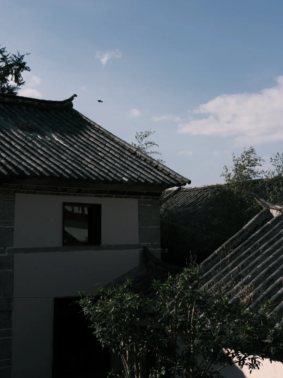 禅境民宿|中国人的自然哲学丨中国大理-23