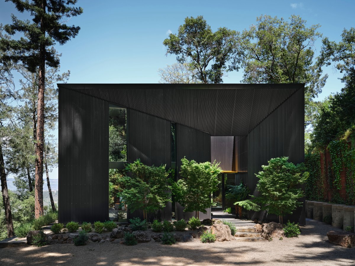 纳帕山巅 · 烧毁后的温暖重塑丨Brandon Jørgensen-12