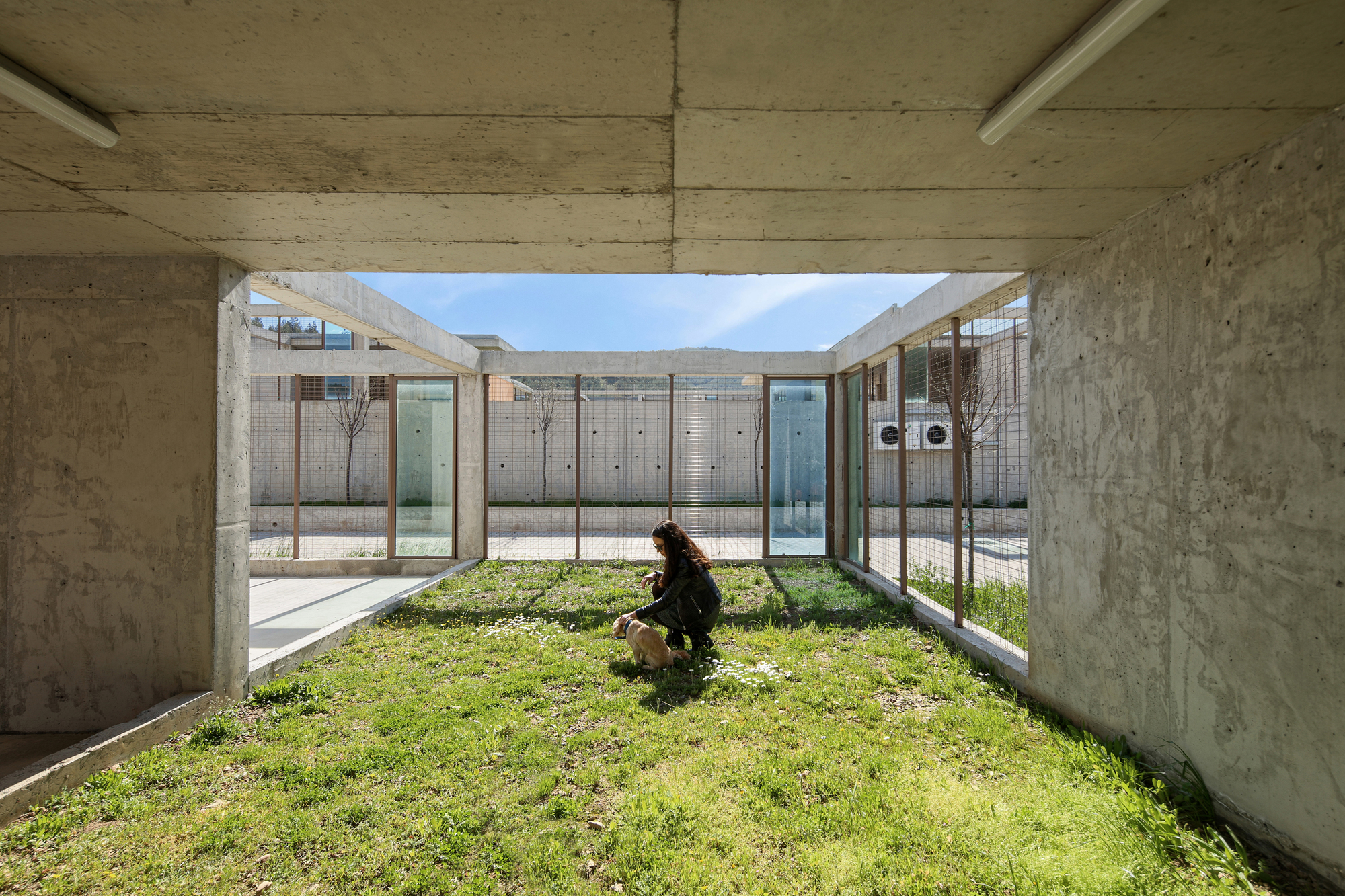 Pako Street Animal Social Life Campus  / Mert Uslu Architecture-20