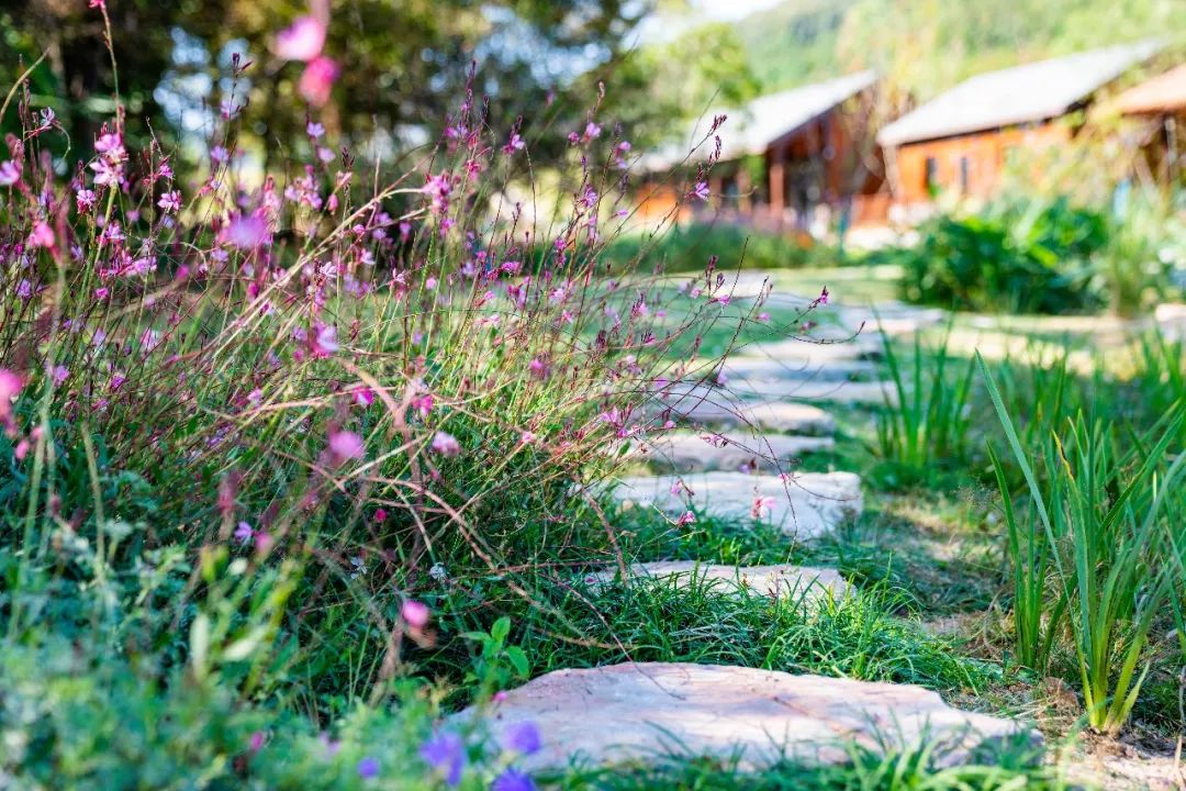 溧阳 1 号公路汨罗灞驿站丨中国江苏丨上海亦境建筑景观有限公司,上海交通大学设计学院风景园林研究所-30