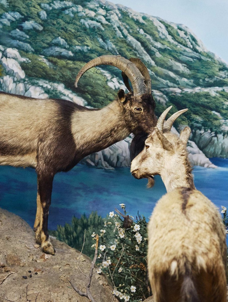 STEDELIJK MUSEUM EXHIBITS FORM丨意大利丨意大利设计工作室-32