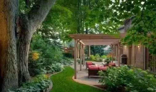 这才叫生活！成都夫妻改造农家小院，为儿子种出一座百草园！-29