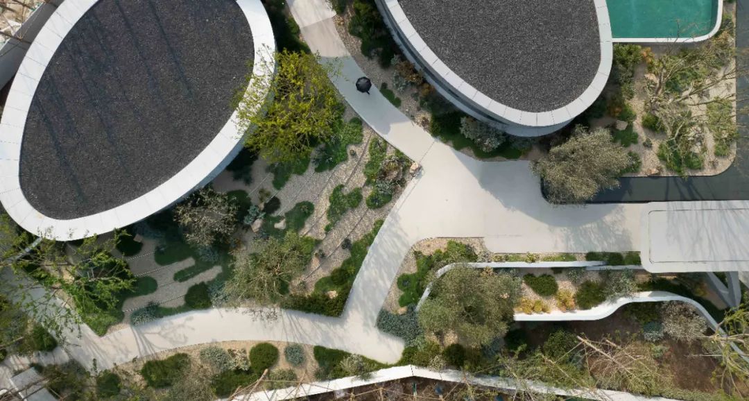 未来曲度 | 麓湖样板岛的新实验场-44