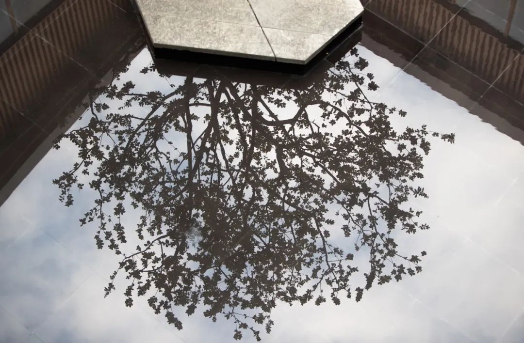 领地莲花湖 | 山水画境与人文融合的文旅小镇新概念-220