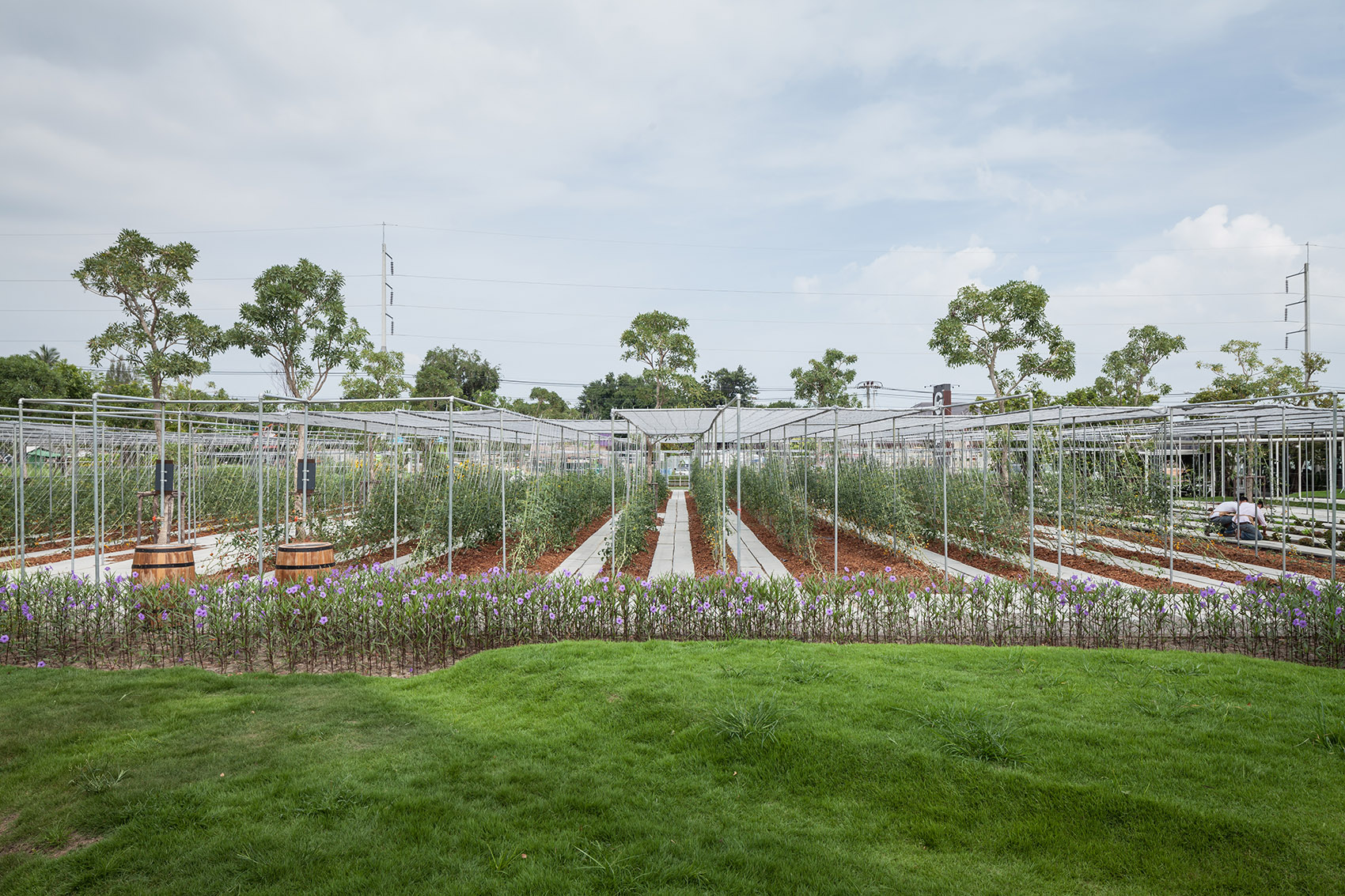 都市农场，泰国 / Integrated Field Co.,Ltd.-63