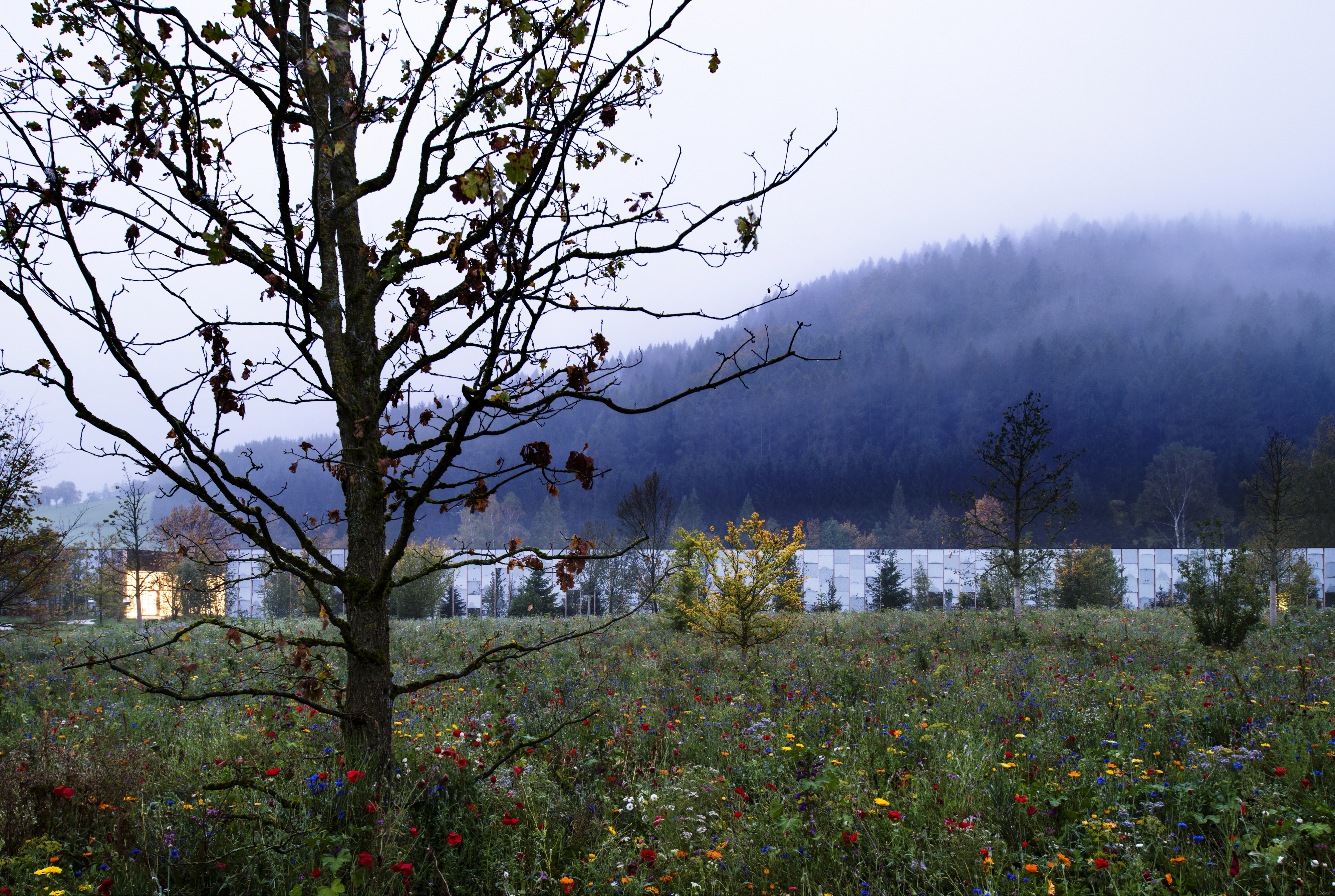 绿肺总部 | 植物动力呼吸建筑-37