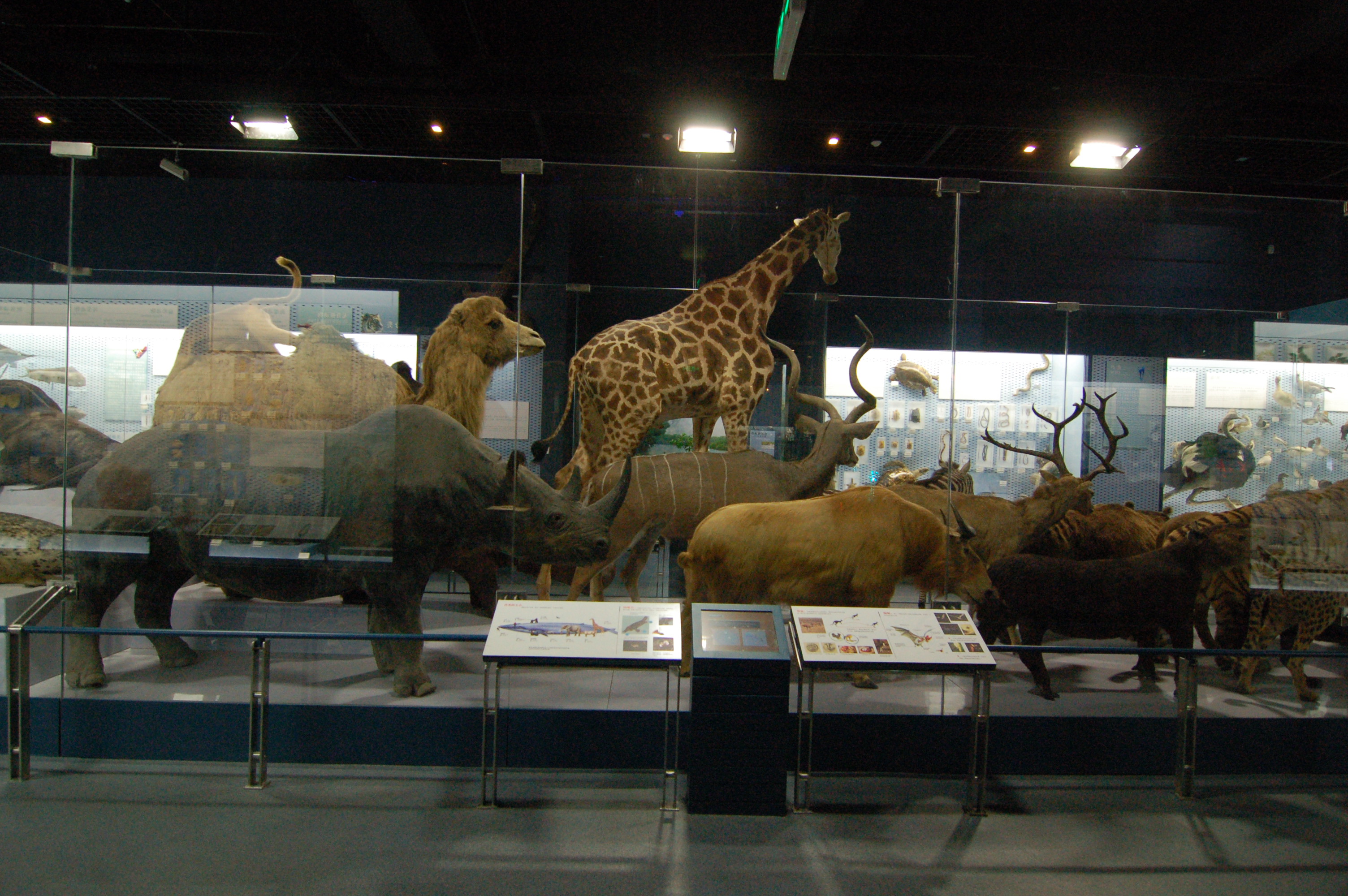 博物馆城市规划馆-19