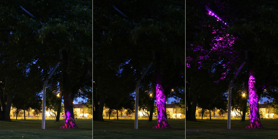 伦敦诺曼德公园丨英国伦敦-13