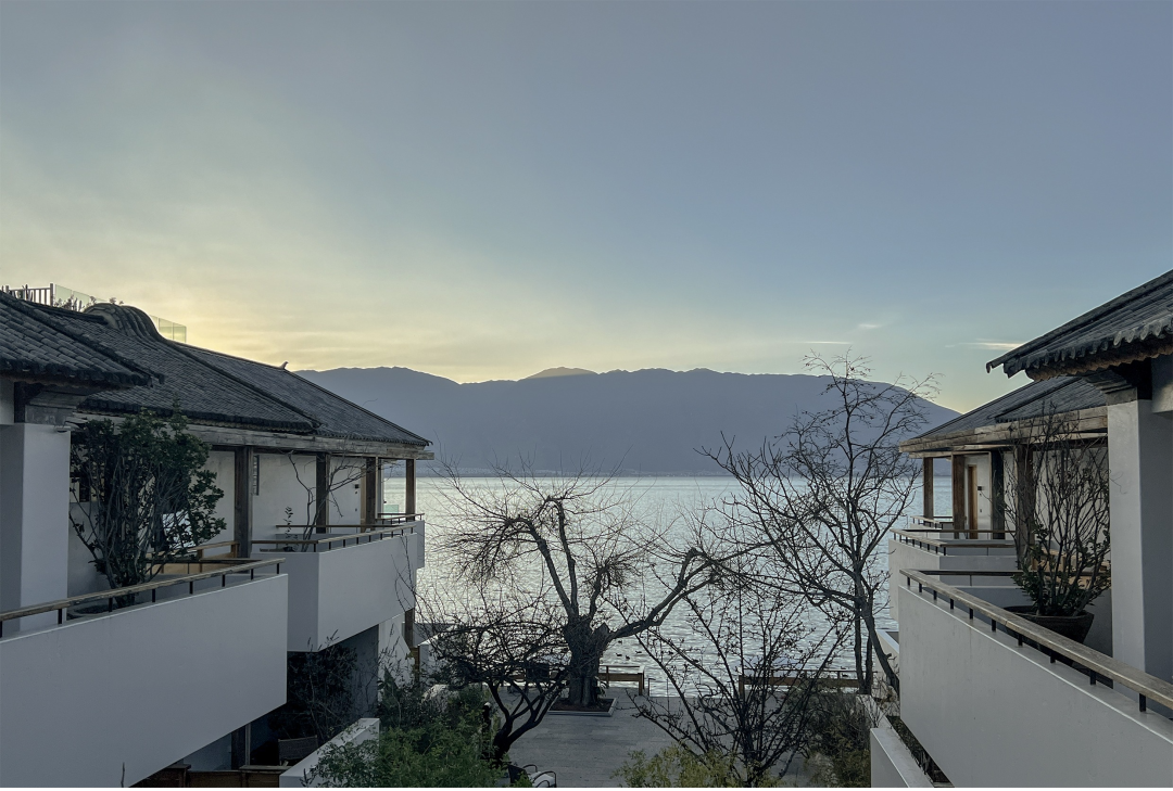 MS·MORE 的诗意人生丨中国重庆丨MS·MORE 创始人-71