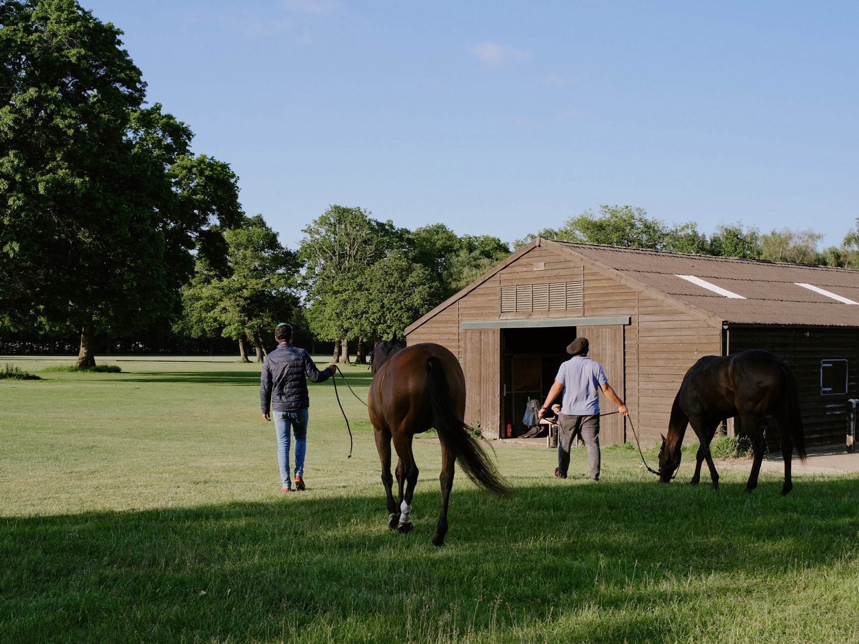 ARC马场丨英国丨Da Costa Mahindroo Architects-95