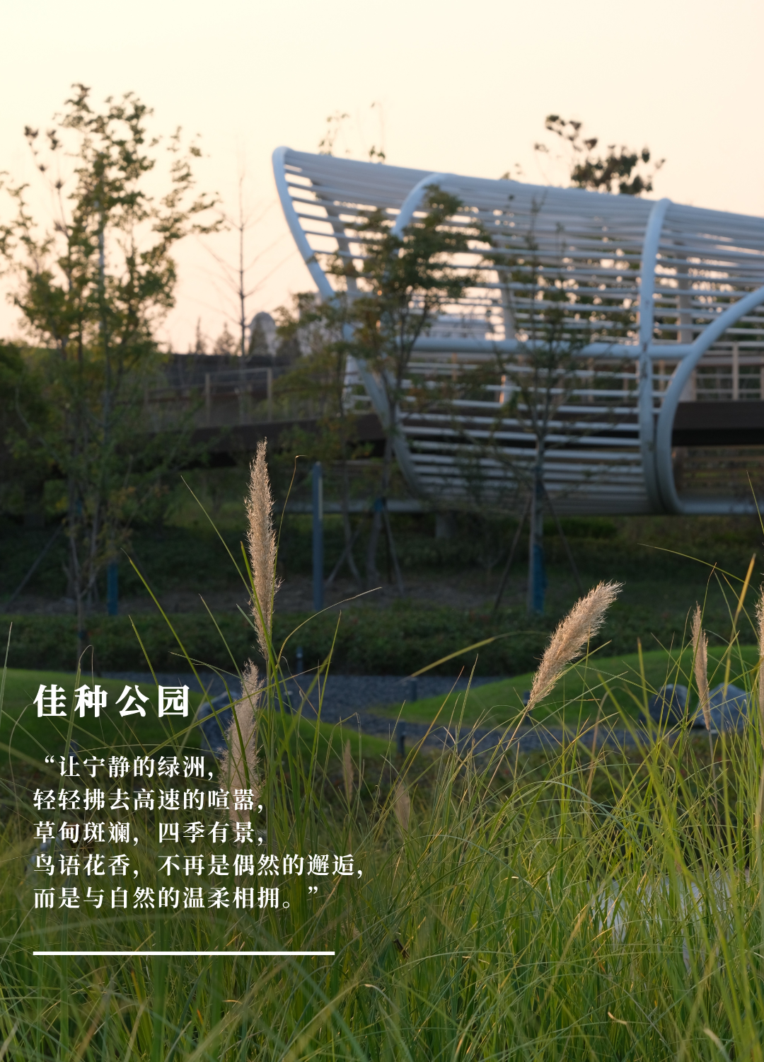 公园里的新天地|上海蟠龙天地荣膺“国家级旅游休闲街区”，华建集团环境院设计助力城市更新-156