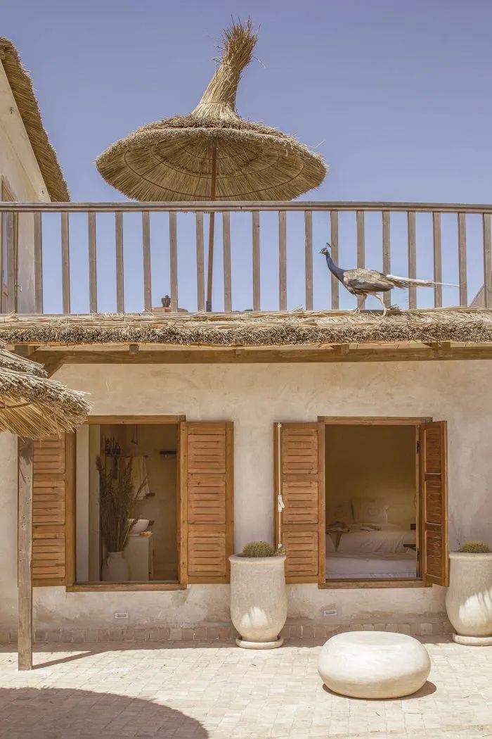 摩洛哥 Tayourt 冲浪营丨Studio BO-24