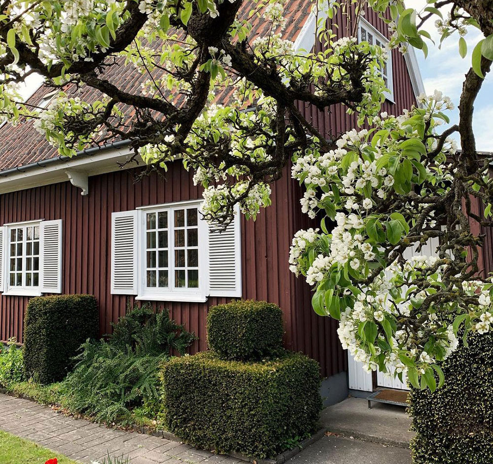 丹麦小屋独特配色，打破传统审美-1