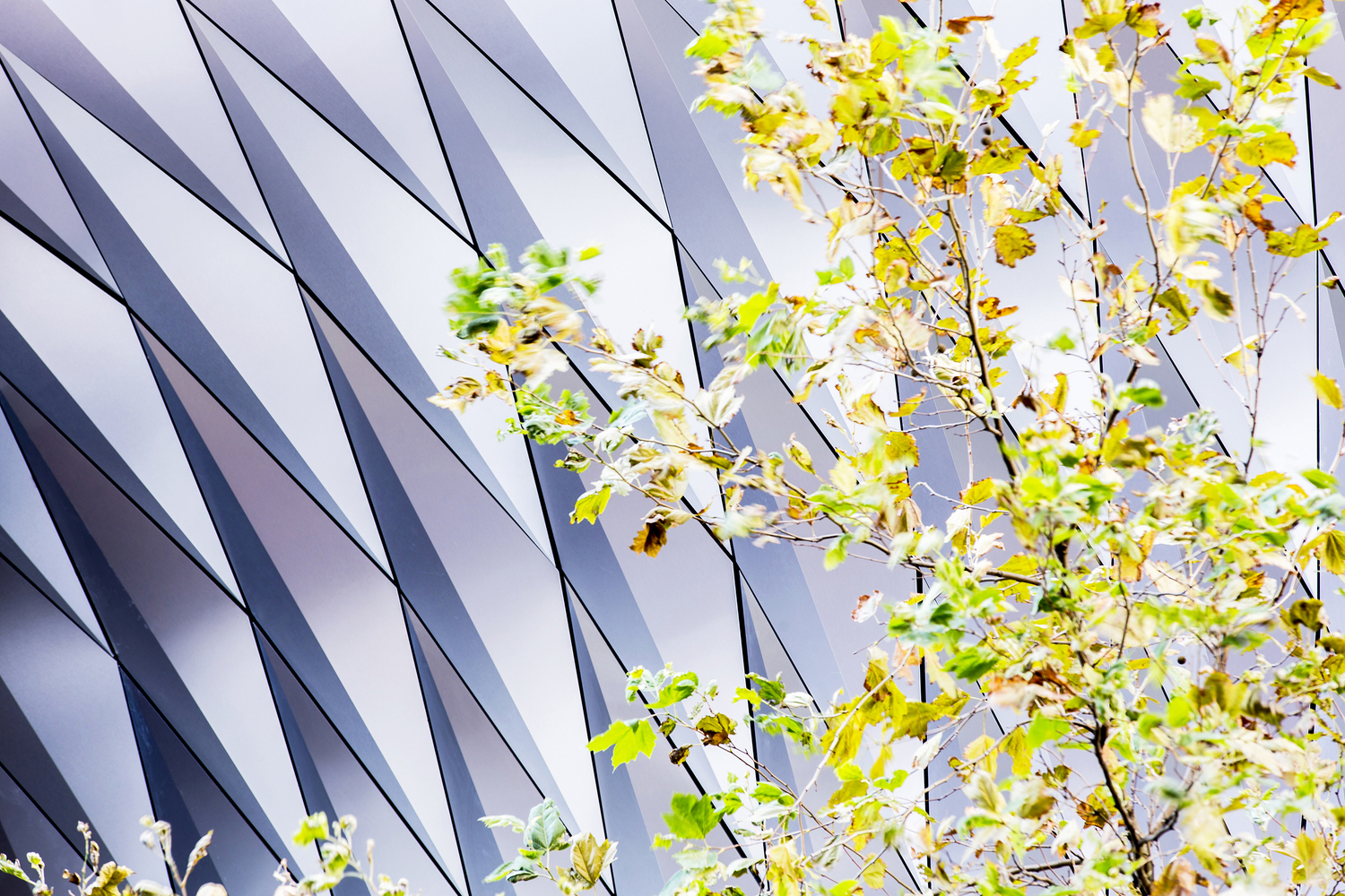 悉尼最繁忙十字路口的折叠铝钻石遮阳篷-41