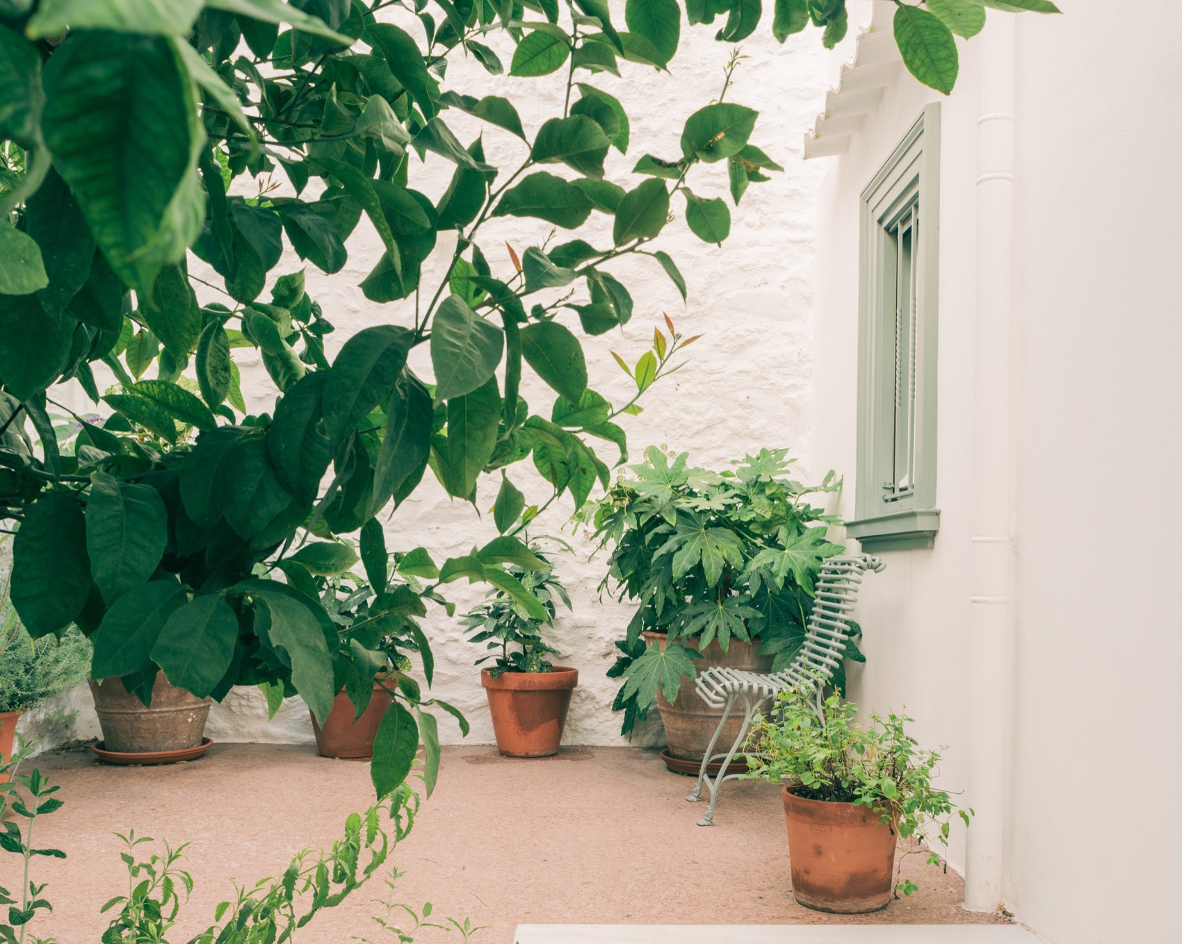 普拉卡之家丨希腊雅典丨Local Local-11