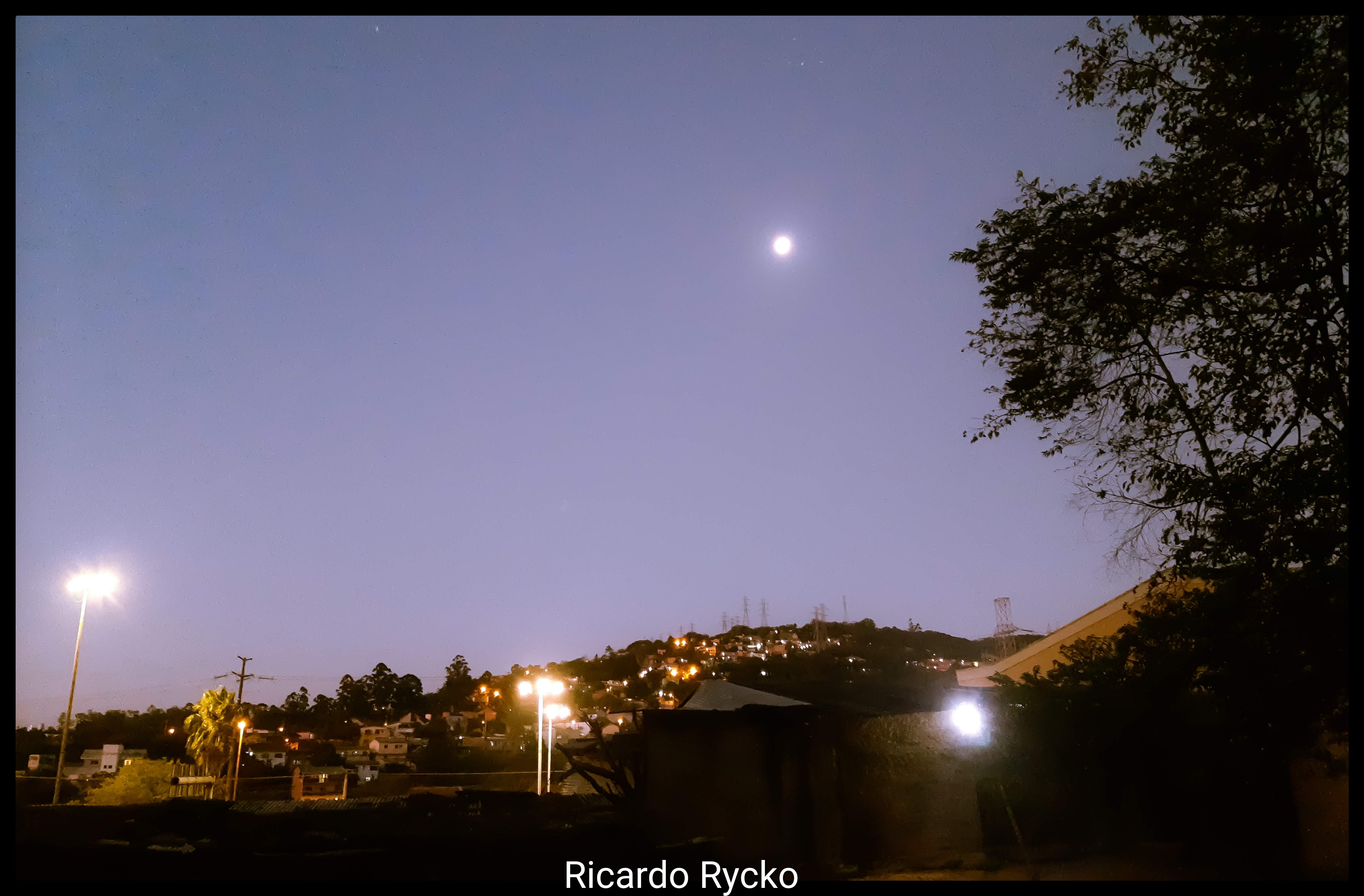 A Diversidade do Sul-1