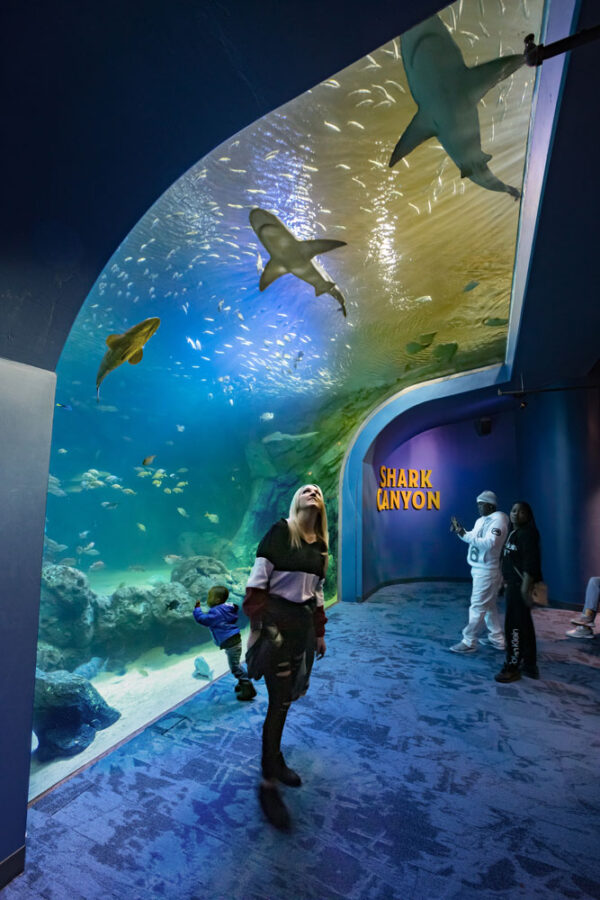 St· Louis Aquarium（圣路易斯水族馆）丨阿根廷圣路易斯-2