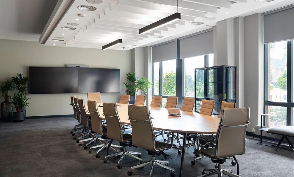 爱尔兰制药公司办公空间-30