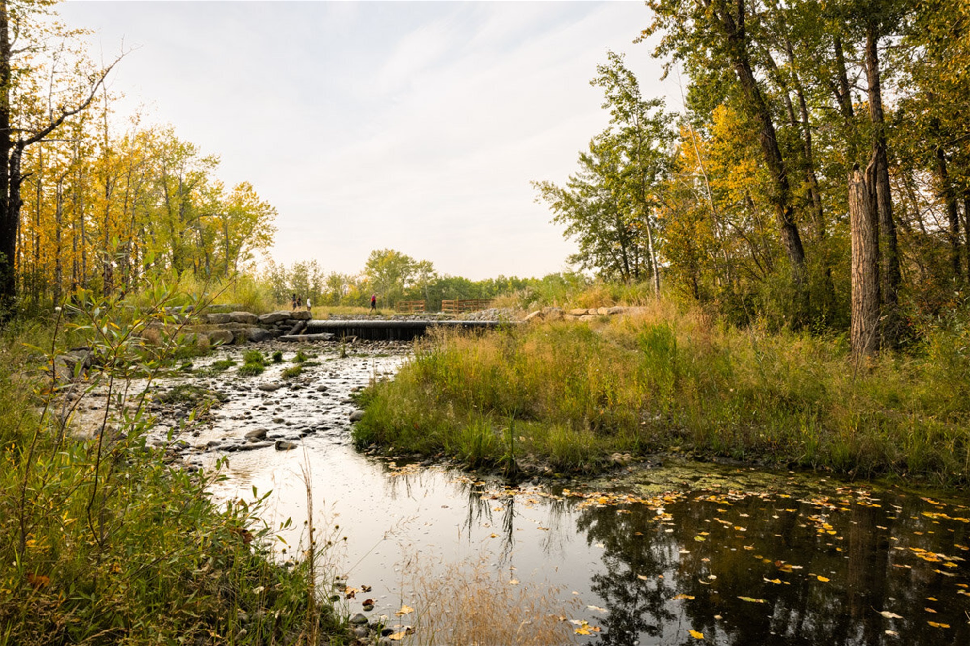 泰斯医疗中心赫利公园丨美国德克萨斯丨mikyoung kim design-45