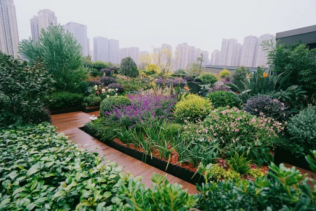 空中花园的粉紫色浪漫 | 乐梵造园的秋韵花境改造-17