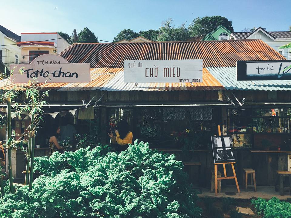Still Café Đà Lạt – Không gian check-in mang phong cách Nhật Bản-34