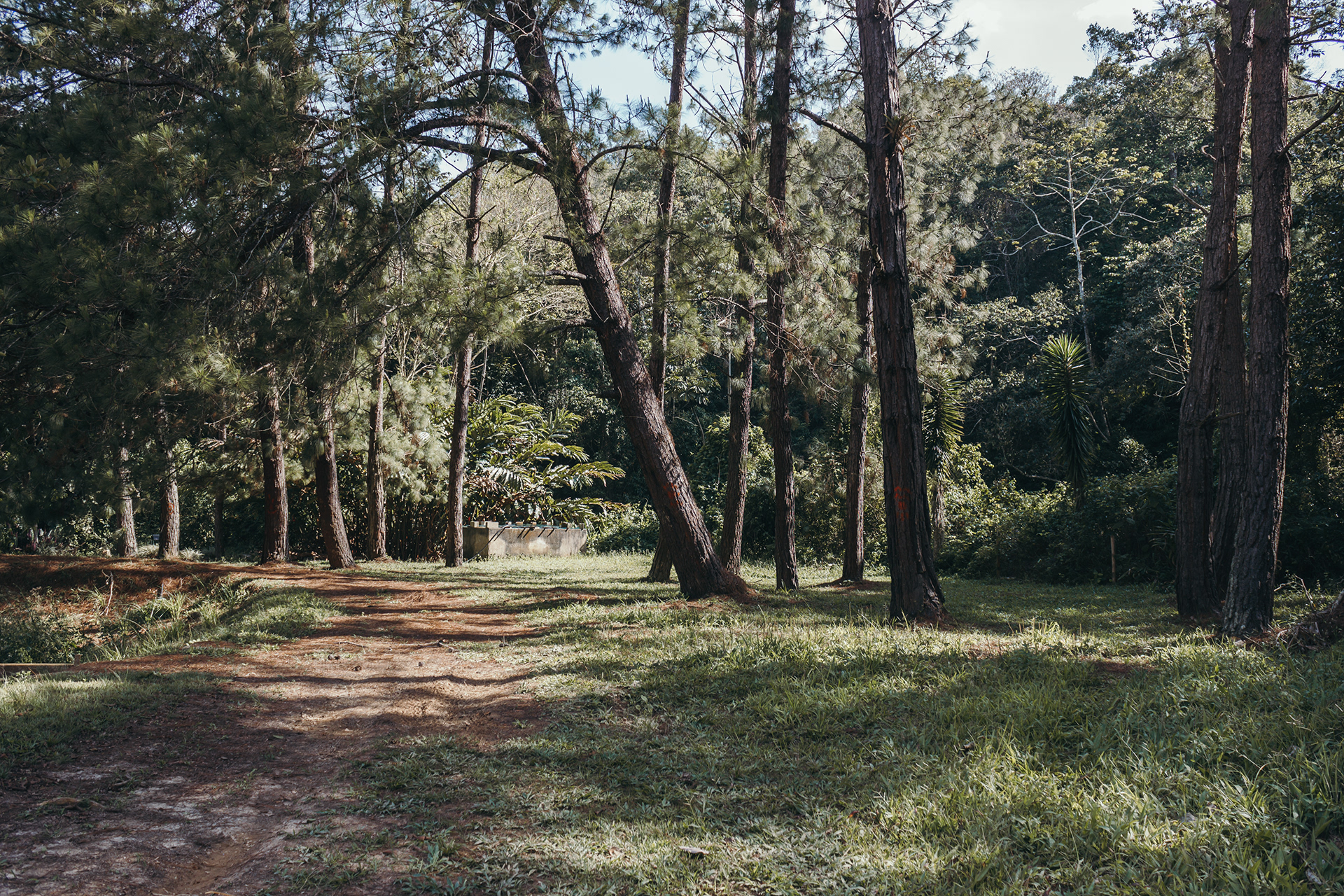 CMG 营地测绘丨委内瑞拉-30