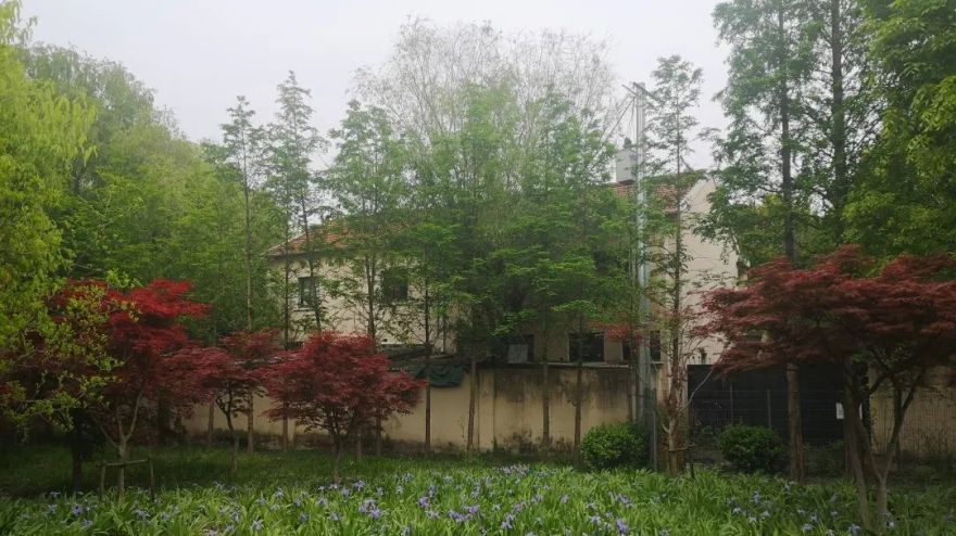 长宁环城生态公园带市民服务驿站丨中国上海丨致正建筑工作室,冶是建筑-41