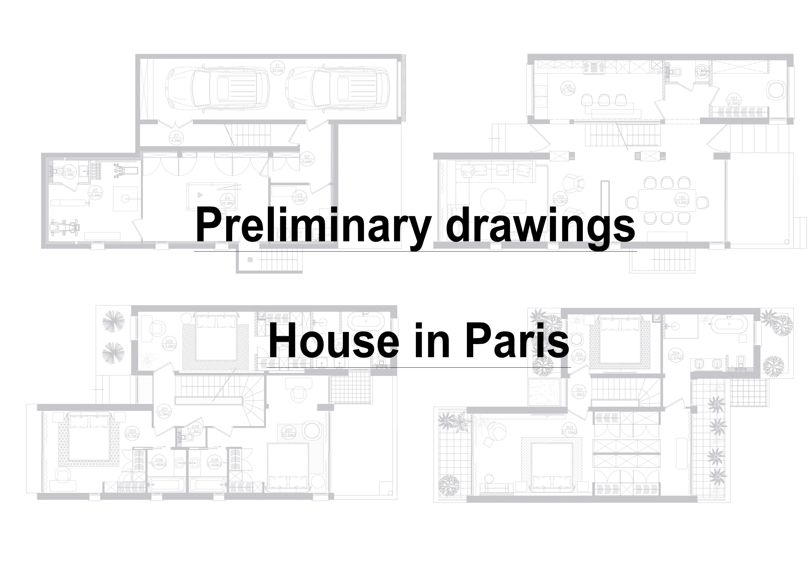 Рабочий проект дома (Париж)-0