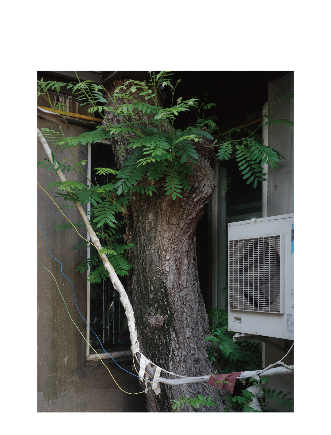 YOUWEI新乐路概念店丨中国上海徐汇区丨say architects-3