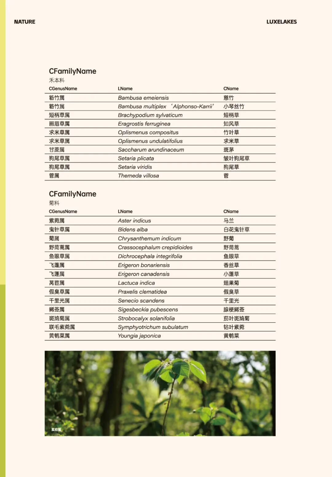 城市掌心的生态山野——麓野公园-265