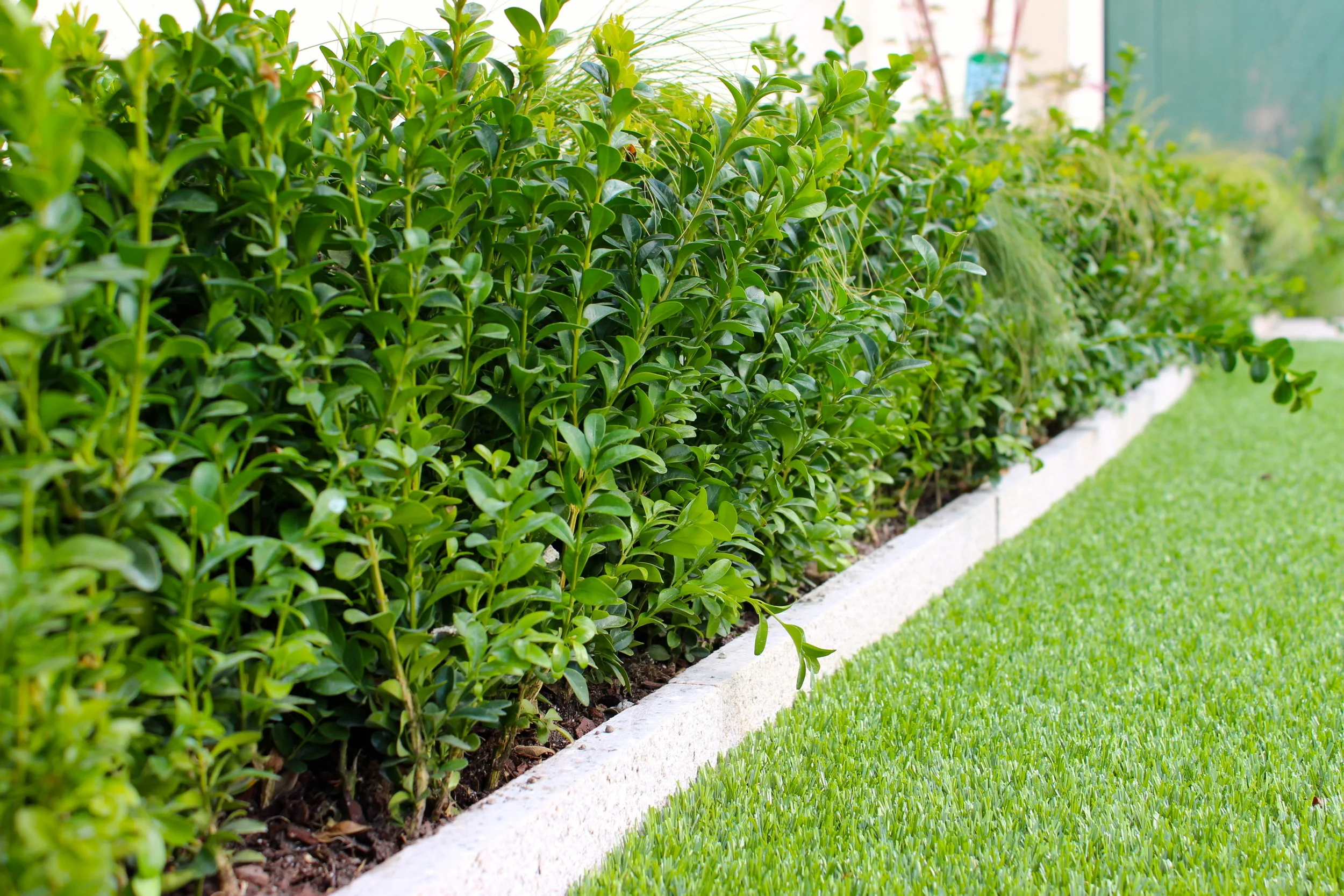 Templeogue Turf住宅后花园景观设计丨爱尔兰都柏林-24