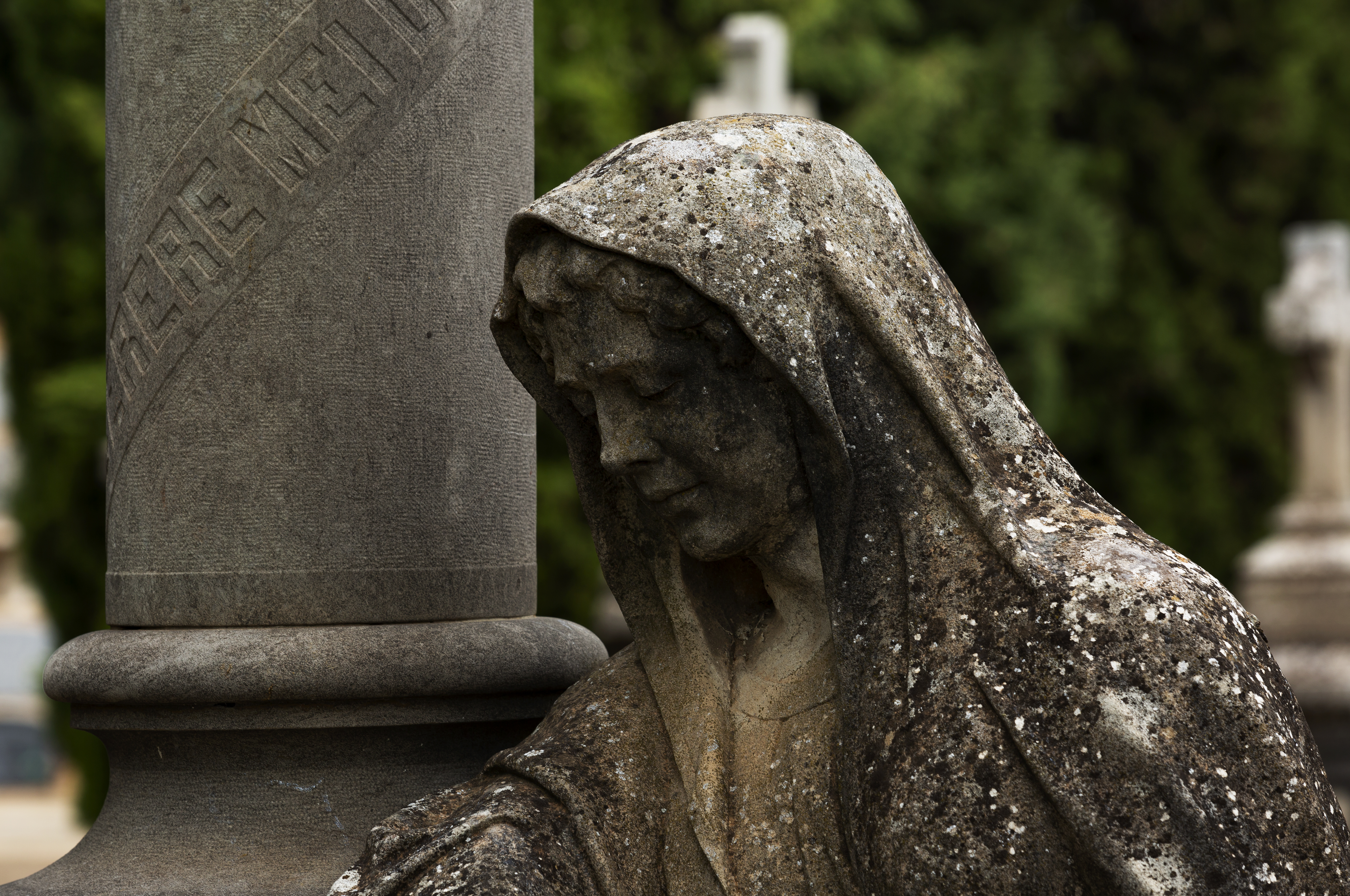 Cementerio de Zaragoza Parte 3-6